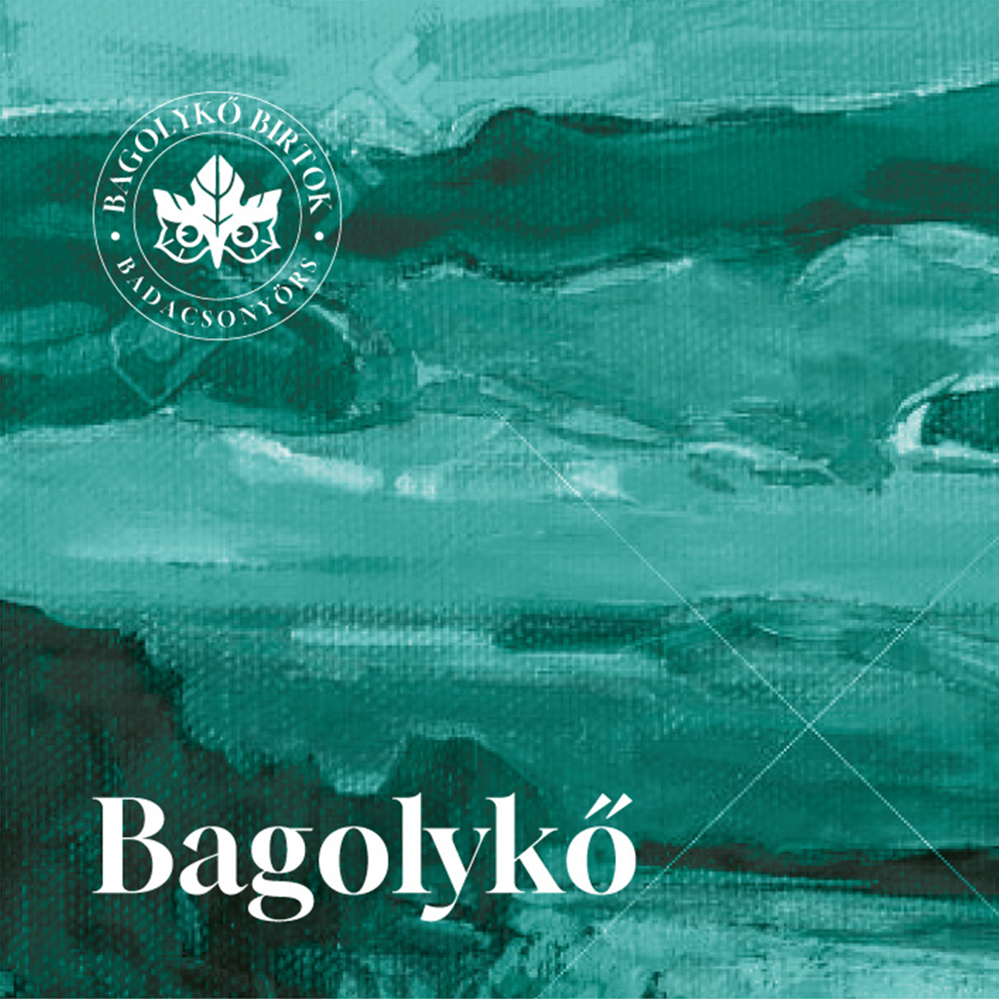 Bagolykő palack mockup